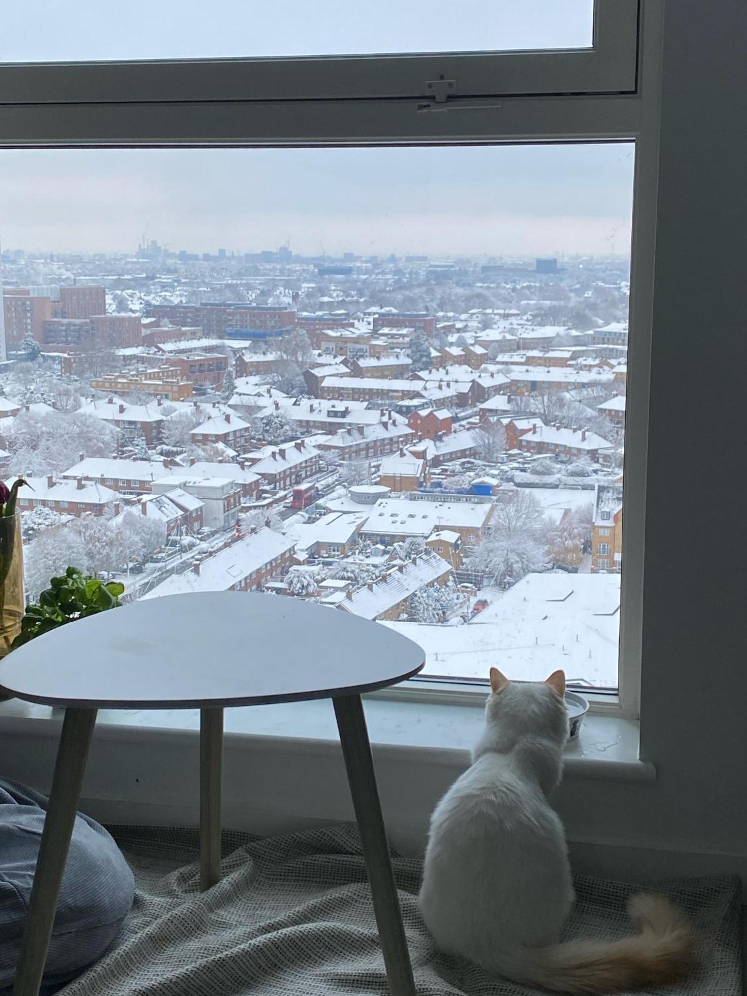 Cozy Flat With Stunning Views Appartement Londen Buitenkant foto