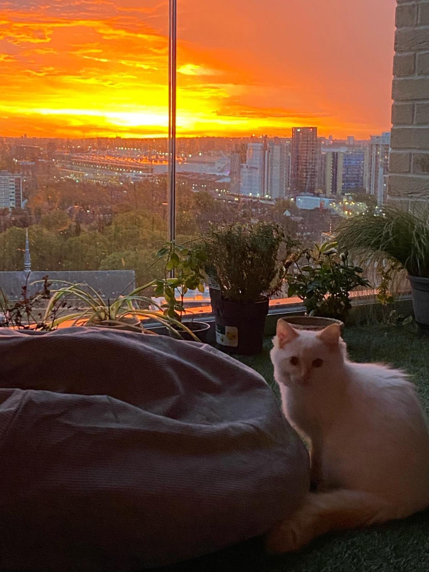 Cozy Flat With Stunning Views Appartement Londen Buitenkant foto