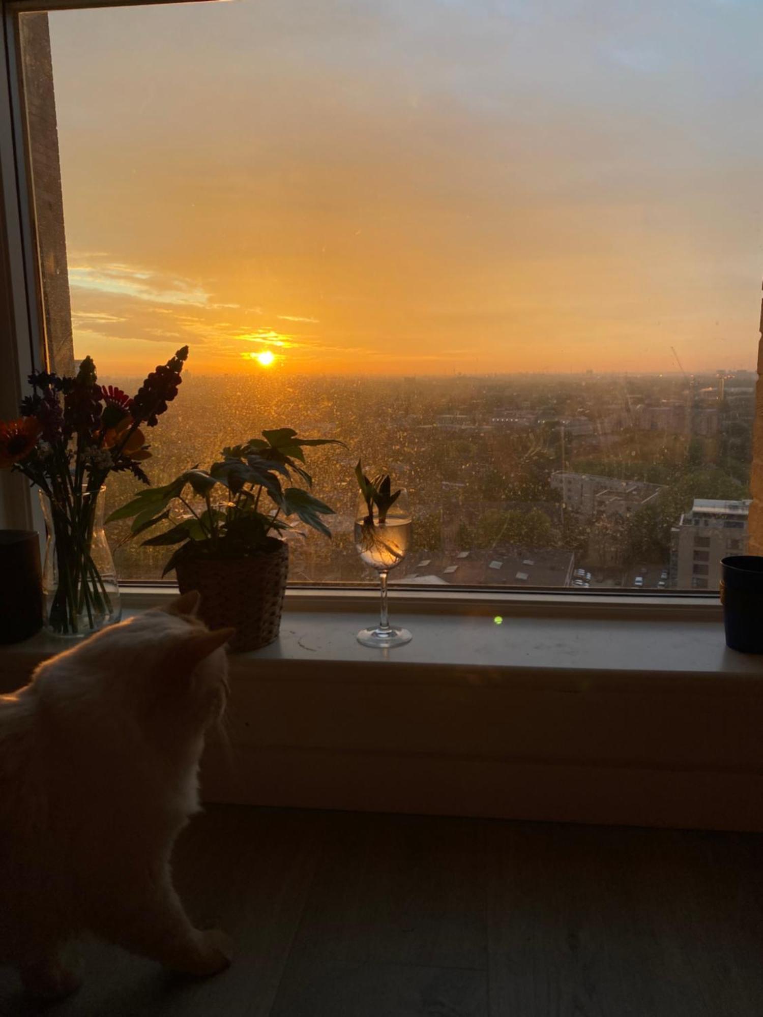 Cozy Flat With Stunning Views Appartement Londen Buitenkant foto